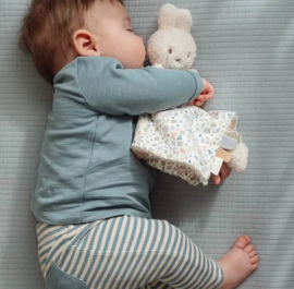 Little Dutch x Nijntje Knuffeldoekje Lucky Leaves met of zonder Naam