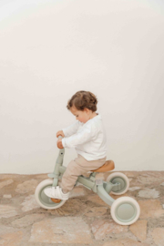 Little Dutch 4 in 1 Driewieler met Duwstang Groen met of zonder Naam