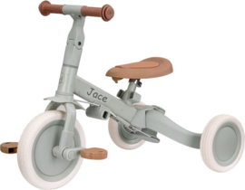 Little Dutch 4 in 1 Driewieler met Duwstang Groen met of zonder Naam