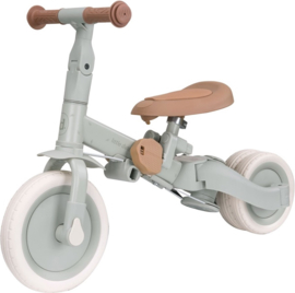 Little Dutch 4 in 1 Driewieler met Duwstang Groen met of zonder Naam
