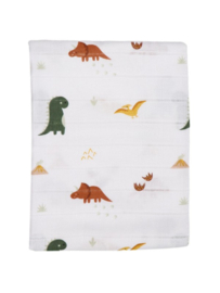 Blush & Blossom Dinosaurus hydrofiel luiers 6 pack