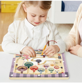 Topbright Magnetisch Doolhof Eenhoorn