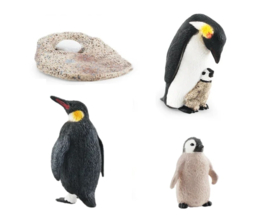 Levenscyclus van de Pinguin