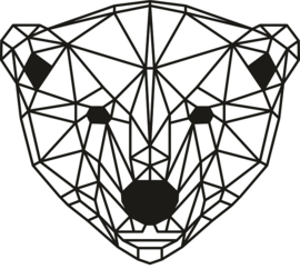 Geometrische IJsbeer