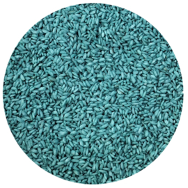 Speelrijst Ocean