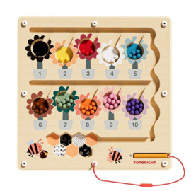 Topbright Magnetisch Doolhof Busy Bee
