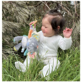 Playgro Fauna Friends Koala met of zonder naam
