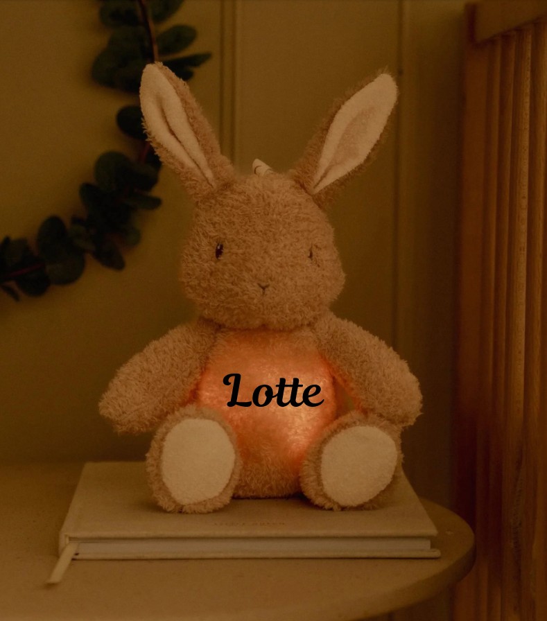 Little Dutch Knuffel Konijn Licht & Geluid Newborn met of zonder Naam