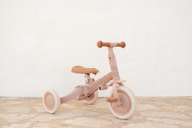 Little Dutch 4 in 1 Driewieler met Duwstang Roze met of zonder Naam
