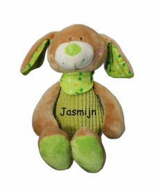 Pluche Hond groen met of zonder naam
