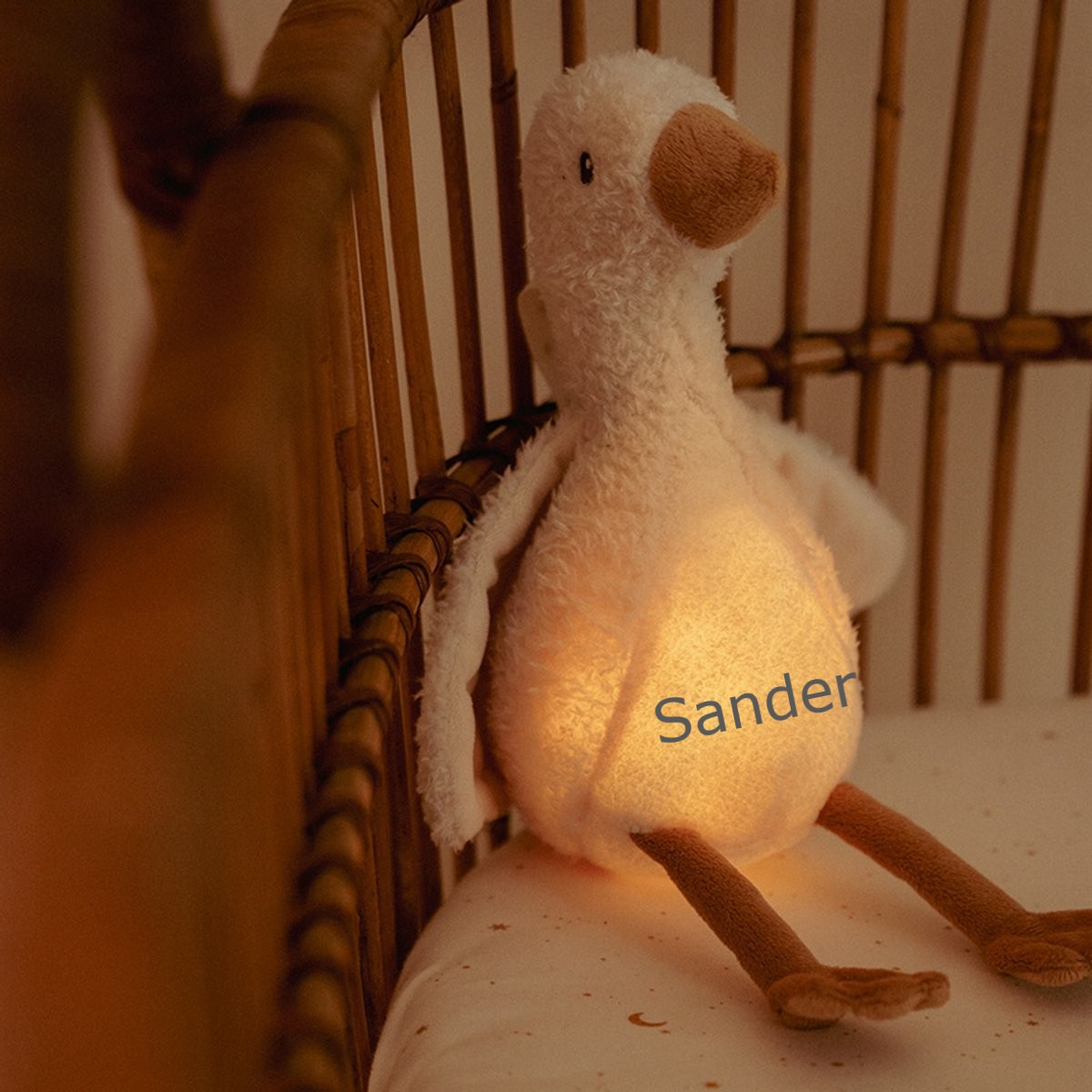 Little Dutch Knuffel Gans Licht & Geluid Newborn met of zonder Naam