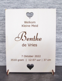 Houten Geboortebord Welkom Kleine Meid met geboortegegevens