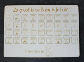 Houten  Zwangerschap Aftelkalender + GRATIS stickers