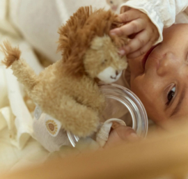 Little Dutch Ringrammelaar Leeuw met of zonder Naam