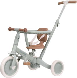 Little Dutch 4 in 1 Driewieler met Duwstang Groen met of zonder Naam