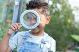 Little Dutch houten Vergrootglas & Insectenpotje Forest Friends met of zonder naam