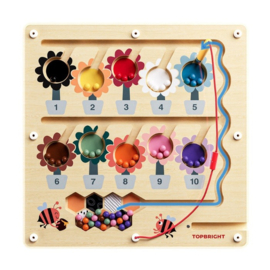 Topbright Magnetisch Doolhof Busy Bee