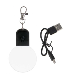 Diverse Led Sleutelhangers Rond met naam