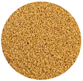 Speelrijst Caramel