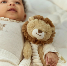 Little Dutch Pluche Knuffeldoekje Leeuw met of zonder Naam