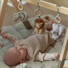 Little Dutch  Babygym Safari Friends met of zonder Naam
