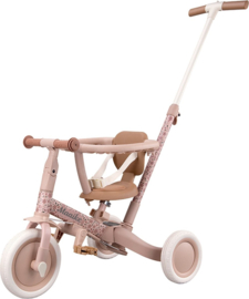 Little Dutch 4 in 1 Driewieler met Duwstang Roze met of zonder Naam