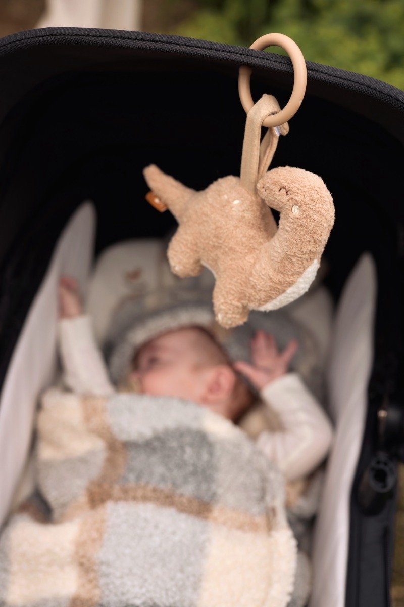 Jollein Wagenhanger Dino met of zonder Naam