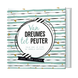 Invulboek van Dreumes tot Peuter