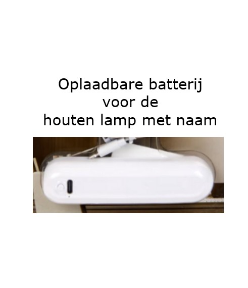 Houten Schaduwlamp Neushoorn met Naam