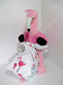Motor Flamingo en baby`s eerste rijbewijs
