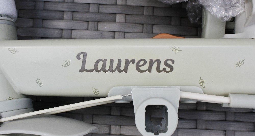Little Dutch 4 in 1 Driewieler met Duwstang Groen + GRATIS Naam