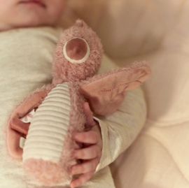 Little Dutch Knijpspeeltje Flamingo met of zonder Naam