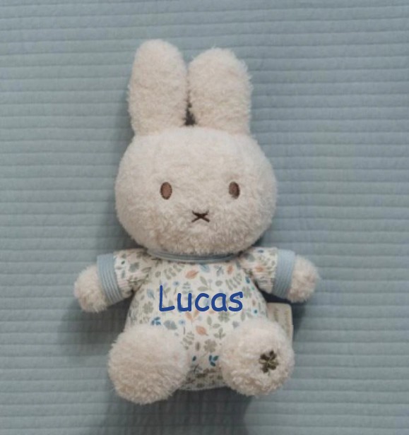 Nijntje x Little Dutch Knuffel Lucky Leaves met of zonder Naam