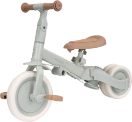 Little Dutch 4 in 1 Driewieler met Duwstang Groen met of zonder Naam