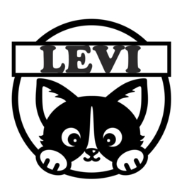 Naamcirkel kat
