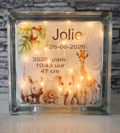 Glazen geboorteblok Jungle Dieren met verlichting