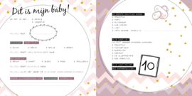 Invulboek Baby's eerste jaar