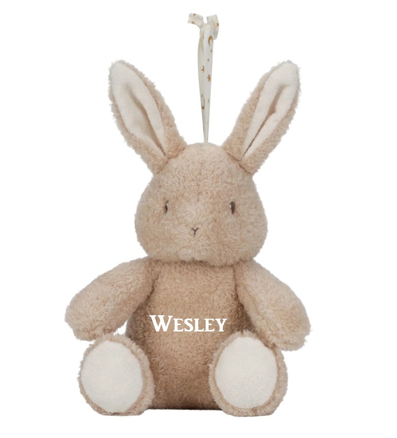 Little Dutch Knuffel Konijn Licht & Geluid Newborn met of zonder Naam