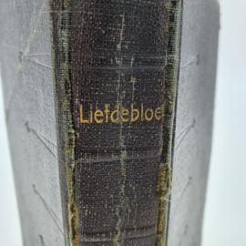 Bruin, nederlands kerkboekje uit 1927 (14)