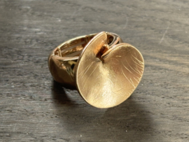 goudkleurige ring met gedraaide schijf bovenaan