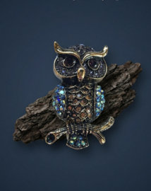 Broches