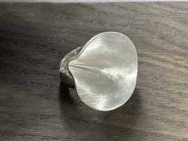 zilver kleurige ring met plooi