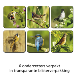 Set onderzetters Vogels