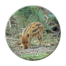 Ronde onderzetter Frisling ( Wild zwijn )