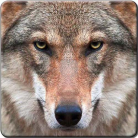 3D onderzetter Wolf