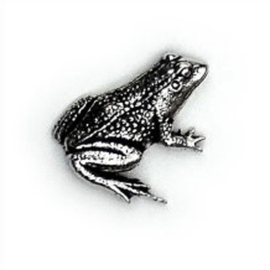 Tinnen speldje/pin kikker