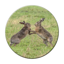 Ronde onderzetter Hazen