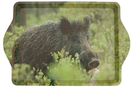 Dienblad Wild zwijn