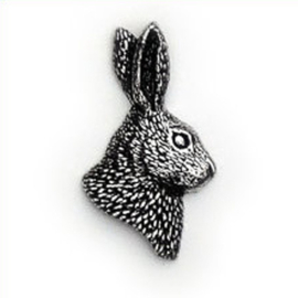 Tinnen speldje/pin Haas