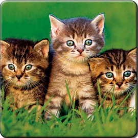 3D onderzetter Katten
